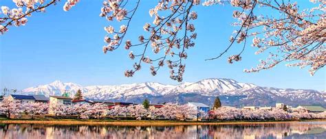 新潟県民会館 ホテル - なぜか毎回迷子になる場所